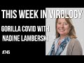 TWiV 745: Gorilla COVID with Nadine Lamberski