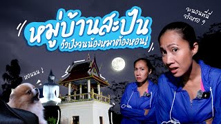 ความลับที่ไม่ควรเปิดเผย! ของวัดสะปัน | EP. 4 ทริปภูทับเบิก / เลย / น่าน