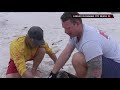 live rescue rescuing an injured pelican season 3 a u0026e