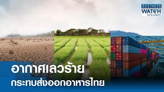 อากาศเลวร้าย กระทบส่งออกอาหารไทย | BUSINESS WATCH | 13-11-67