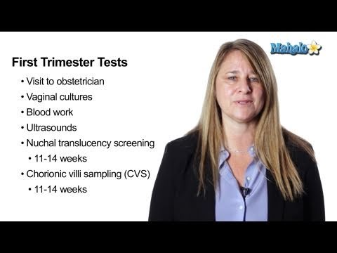 Pregnancy - What to Expect in the First Trimester Pregnancy - What to Expect in the First Trimester