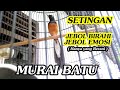 Bongkar setingan JEBOL BIRAHI JEBOL EMOSI murai batu secara instan