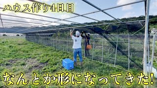 【ハウス作り4日目】一棟目の骨組み完成！！！遮光ネットを仮でつけてみた！