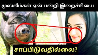 முஸ்லீம்கள் ஏன் பன்றி இறைச்சியை சாப்பிடுவதில்லை தெரியுமா? why pork is haram in Islam in tamil