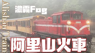 阿里山小火車｜Alishan Train