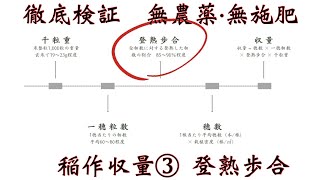 無農薬・無施肥でこだわって作った”お米”の登熟歩合を測定してみた。88.6％超えれば反収は〇〇〇〇！！農家さんの〇.〇倍！？　【収量・徹底検証・その３】