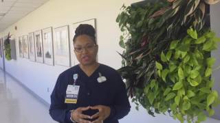 Sentara Healthcare Vizient/AACN Nurse Residency Program™