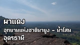 แคมป์ปิ้ง | ผาแดง | อุทยานแห่งชาตินายูง-น้ำโสม | อุดรธานี