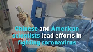 Chinese and American scientists lead efforts in fighting coronavirus