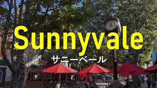 【サニーベールでの暮らし】Living in Sunnyvale, CA