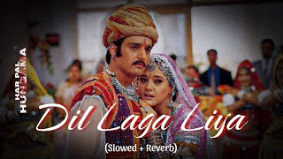 Dil Laga Liya | Lofi ~ {Slowed+Reverb} | Dil Hai Tumhaara (Udit Narayan) | Hindi Lofi Song
