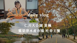 浪漫秋日 仁川大公園 賞楓 | 鷺梁律水產市場 吃帝王蟹 |韓國Vlog | 韓國生活