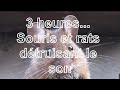 répulsif anti souris souris et rats insonorisants les souris quitteront la maison