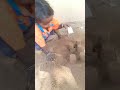 es bache me pura talent ha funny short video