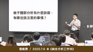 做子群體分析有什麼訣竅，有哪些該注意的事情？《統合分析工作坊》/ 張凱閔 @ 2020 / 7 / 5