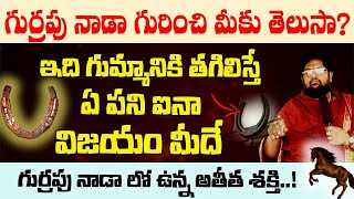 గుర్రపు నాడా ని గుమ్మానికి తగిలిస్తే జరిగే అద్భుతం ? | Gurrapu nada lo gummaniki tagiliste