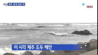 제주,밤사이 많은 비 ...피해 없어 / YTN