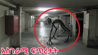 ለማመን የሚከብዱ የተለዩ አስፈሪ  ፍጥረታትን /part 2/ unbelievable creature@LucyTip