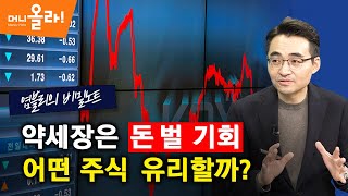 [머니올라 501화/염블리의 비밀노트] 약세장의 투자 포트폴리오, 3가지 방안은?(염승환 이사)