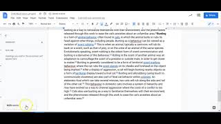 Using Word Count Feature in Google Docs