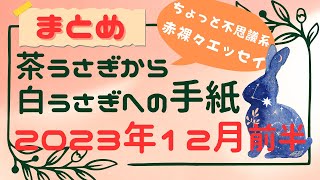 【まとめ】茶うさぎから白うさぎへの手紙 2023年12月前半