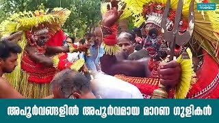 അപൂര്‍വങ്ങളില്‍ അപൂര്‍വമായ ​മാറണ ഗുളികൻ