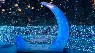 MIYANOMORI FRANCES Illumination 宮の森フランセス教会のイルミネーション HOKKAIDO 2020/12/16