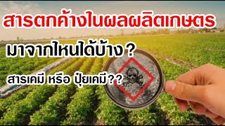 สารตกค้างในผักผลไม้ มาจากไหน สารเคมี หรือปุ๋ยเคมีกันแน่  // สนใจคลิก: BurinOnline.org