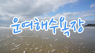 운여해수욕장, 소나무 아래 캠핑장이 있는 태안 안면도 가족 여행지 운여해변, Unyeo Beach