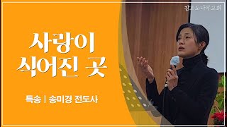 [특송] 사랑이 식어진 곳｜송미경 전도사｜2024.03.03(주일)｜참포도나무교회｜주일 오후 예배