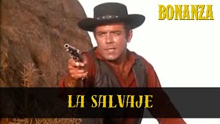 Bonanza | Temporada 2 Episodio 12 | La Salvaje