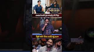 సీక్రెట్ రిలీజ్ చేసిన సందీప్ రెడ్డి| sandeep reddy vanga revels secret | #nagachaitanya #shortsfeed