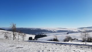 #338 11 kuriose Zahlen und Fakten rund um Weihnachten