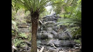 Sheoak Falls/Sheoak Picnic Area/Henderson Falls Wander - 26th Jan '25