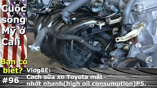 Cuộc sống mỹ ở Cali.Vlog8E:Sữa xe Toyota mất nhớt nhanh(high oil consumption)p 5.