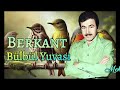 Berkant - Bülbül Yuvası