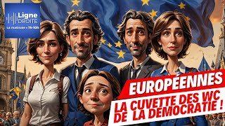 Européennes : qui va s’asseoir sur la cuvette des WC de la démocratie ? - Nicolas Vidal