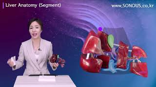 초음파강의_Liver Anatomy (Segment)_SONOUS 대표강사 : 장경미