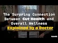 Holistic Conversations & Cases- Gut Health