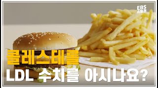 고지혈증, 당신의 LDL 수치는? | 콜레스테롤 관리,  3대 만성 질환 | 명의