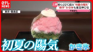 【都心は22℃超え】かき氷がおいしい…桜の開花予想も早まる