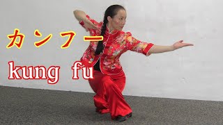 カンフーの蹴り　中国武術腿法　KUNG-FU KICK　宋麗先生　SONG LI sensei