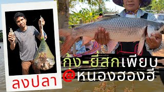 ลงปลาหนองบ้านฮองฮี บอกเลยงานนี้ยี่สกมาเพียบ หว่านแหจับปลา Cast Net Fishing