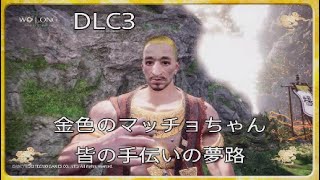 ｳｫｰﾛﾝ/wolong DLC3 炎上火傷有り 簡単操作で強いビルドで求賢に応じる