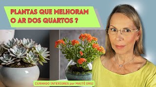 Oxigênio puro para dormir, conheça estas 7 plantas           #decoração #moda #plantasdentrodecasa