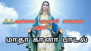 🙏🙏அண்ணை மாமரி🙌🙌 என்னை ஆதரி||மாதா பாடல்||மட்ட கானா||சைதை கானா