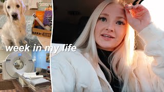 a week in the life vlog