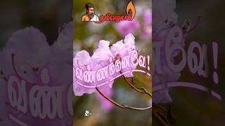 💞வண்ணக் கனவே! ❣️காதல் கவிதை |TAMIL KAVITHAIGAL| #kadhalkavithaigal   #kavithai #trending