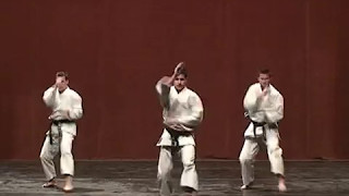 Karate bemutató Búzás Csaba mester vezetésével - Csikszereda 2015