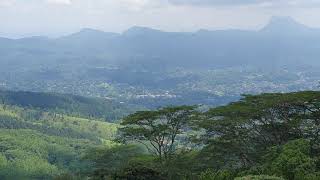 Top of the Hanthana mountain in Sri Lanka, forest mountain , very beautiful sight